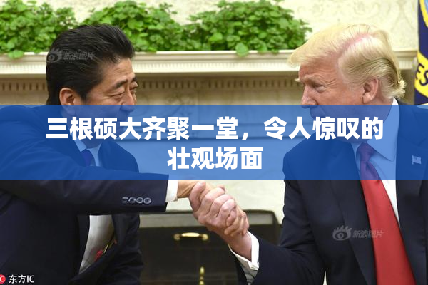 三根硕大齐聚一堂，令人惊叹的壮观场面