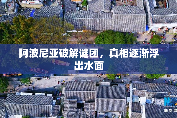 阿波尼亚破解谜团，真相逐渐浮出水面