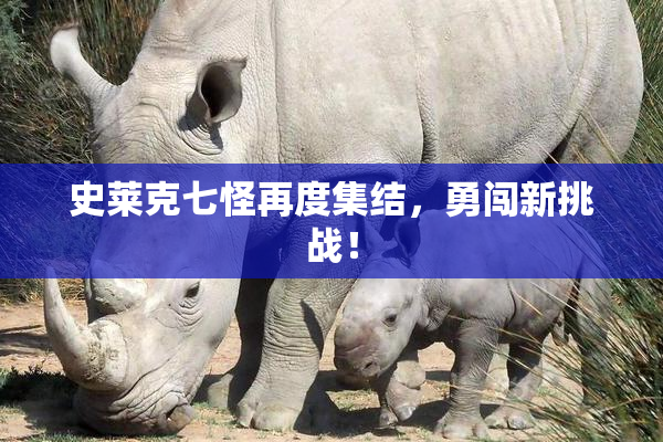 史莱克七怪再度集结，勇闯新挑战！