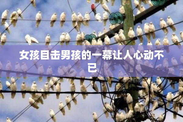 女孩目击男孩的一幕让人心动不已