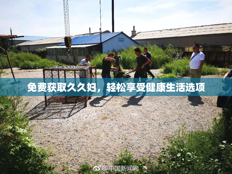 免费获取久久妇，轻松享受健康生活选项