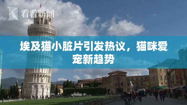 埃及猫小脏片引发热议，猫咪爱宠新趋势