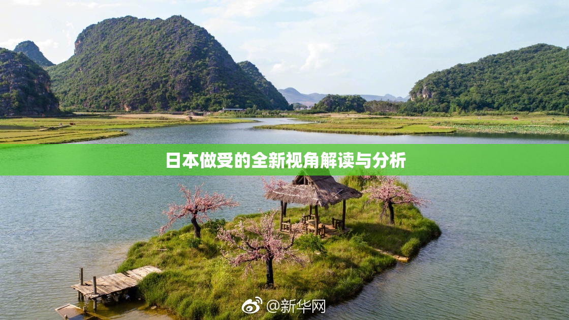 日本做受的全新视角解读与分析