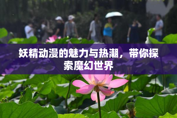妖精动漫的魅力与热潮，带你探索魔幻世界