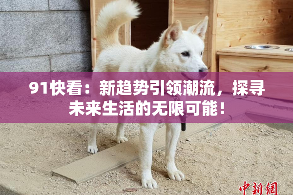 91快看：新趋势引领潮流，探寻未来生活的无限可能！