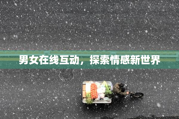 男女在线互动，探索情感新世界
