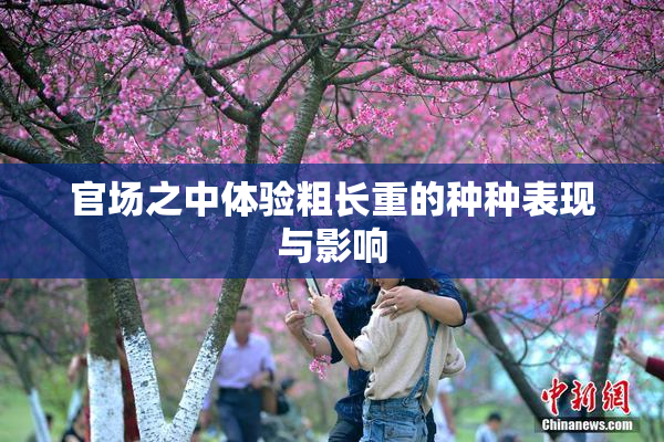 官场之中体验粗长重的种种表现与影响