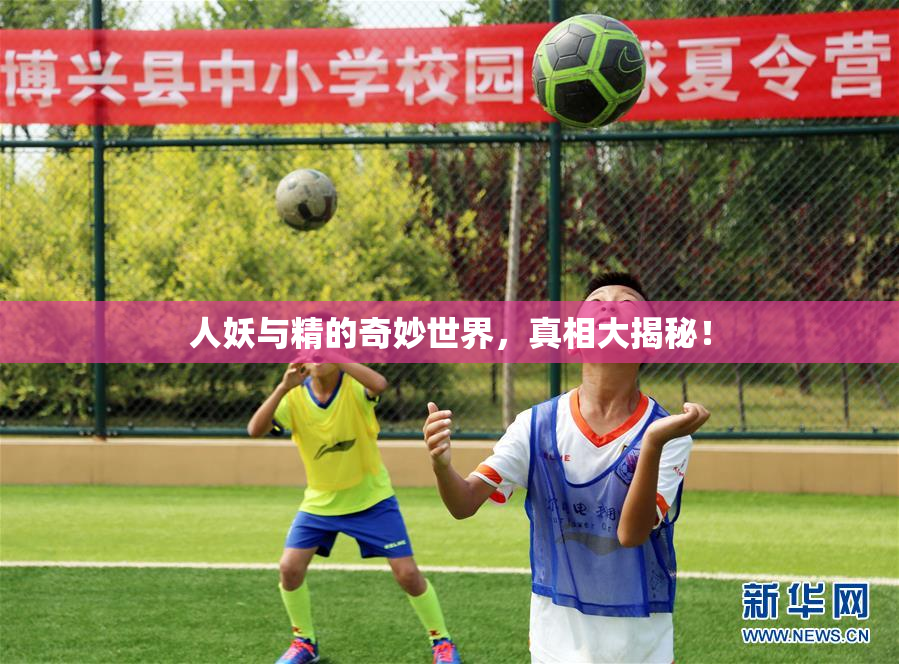 人妖与精的奇妙世界，真相大揭秘！