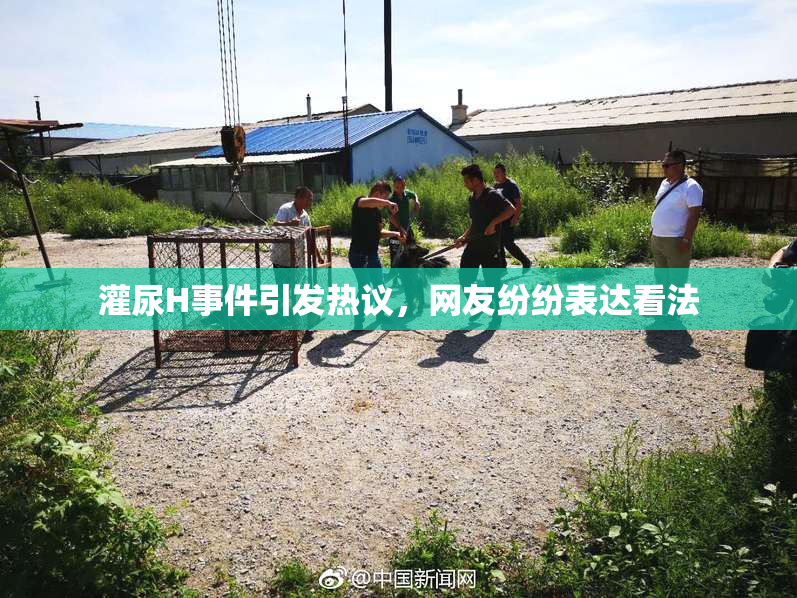 灌尿H事件引发热议，网友纷纷表达看法