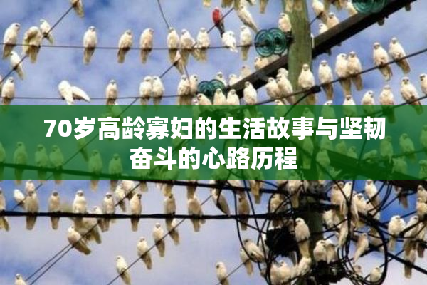 70岁高龄寡妇的生活故事与坚韧奋斗的心路历程