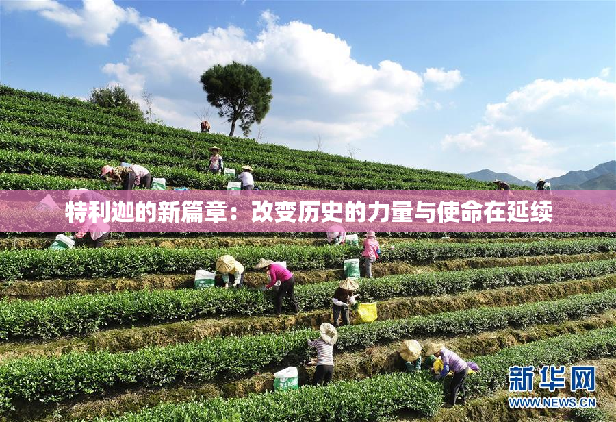 特利迦的新篇章：改变历史的力量与使命在延续