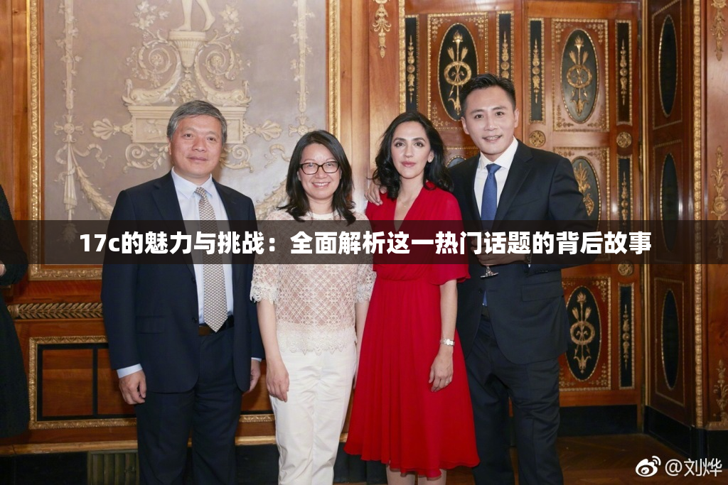 17c的魅力与挑战：全面解析这一热门话题的背后故事