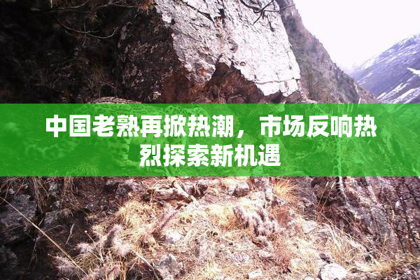 中国老熟再掀热潮，市场反响热烈探索新机遇