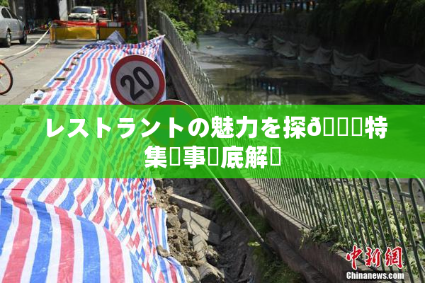 レストラントの魅力を探🌃特集記事徹底解説