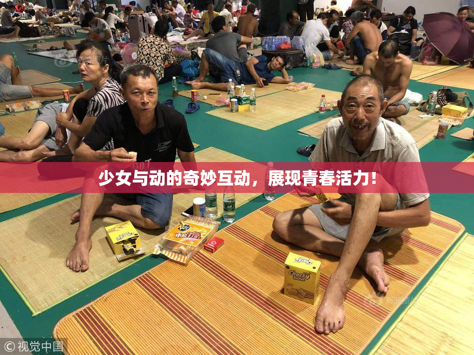 少女与动的奇妙互动，展现青春活力！