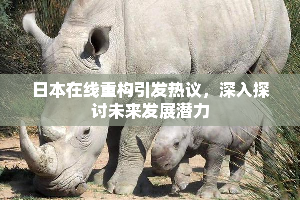 日本在线重构引发热议，深入探讨未来发展潜力