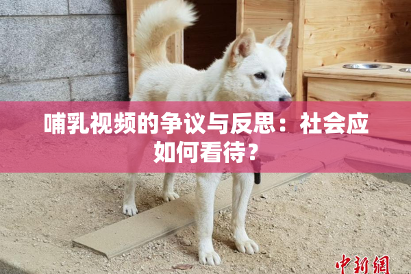 哺乳视频的争议与反思：社会应如何看待？