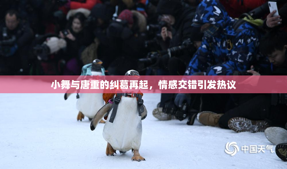 小舞与唐重的纠葛再起，情感交错引发热议