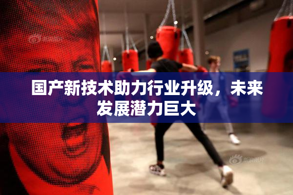 国产新技术助力行业升级，未来发展潜力巨大