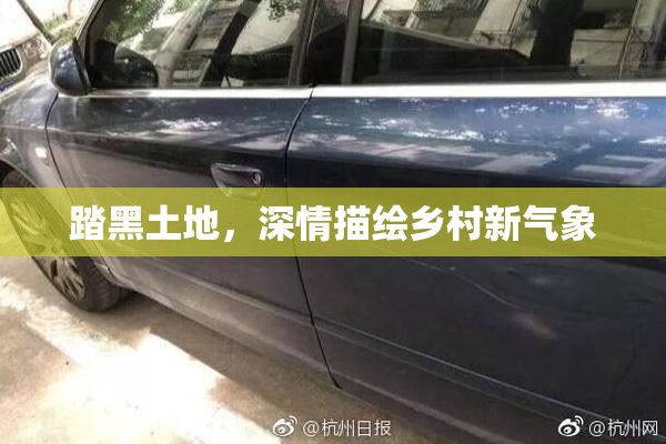 踏黑土地，深情描绘乡村新气象
