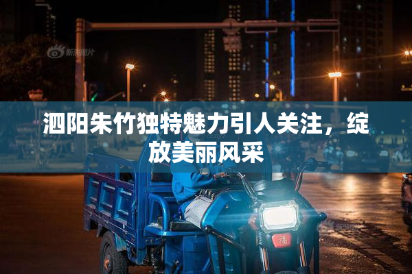 泗阳朱竹独特魅力引人关注，绽放美丽风采