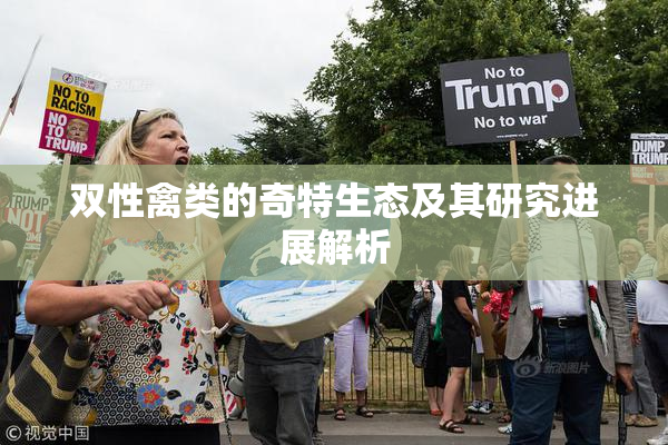 双性禽类的奇特生态及其研究进展解析