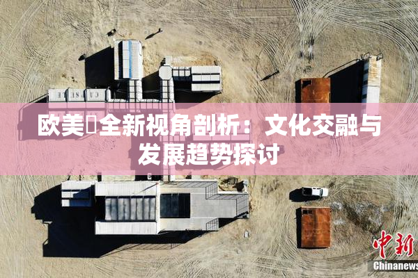 欧美巜全新视角剖析：文化交融与发展趋势探讨