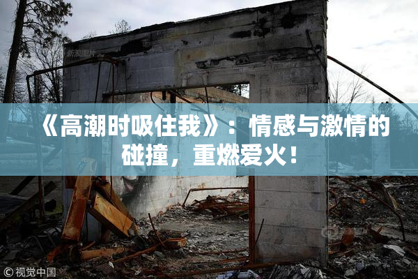 《高潮时吸住我》：情感与激情的碰撞，重燃爱火！