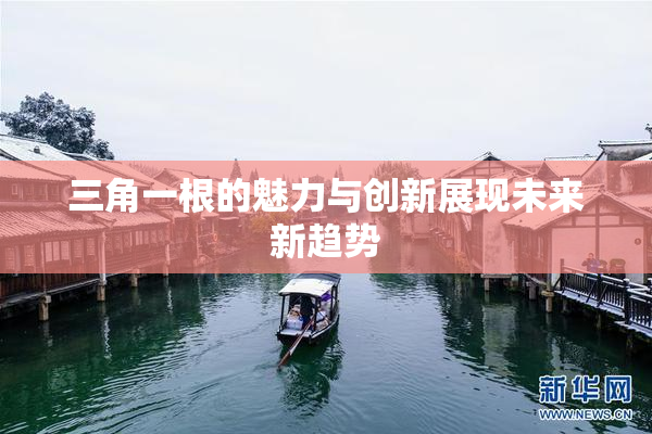 三角一根的魅力与创新展现未来新趋势