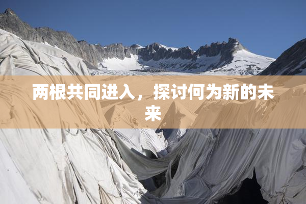 两根共同进入，探讨何为新的未来