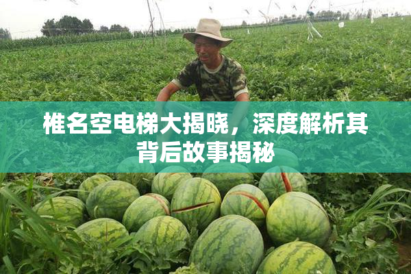 椎名空电梯大揭晓，深度解析其背后故事揭秘