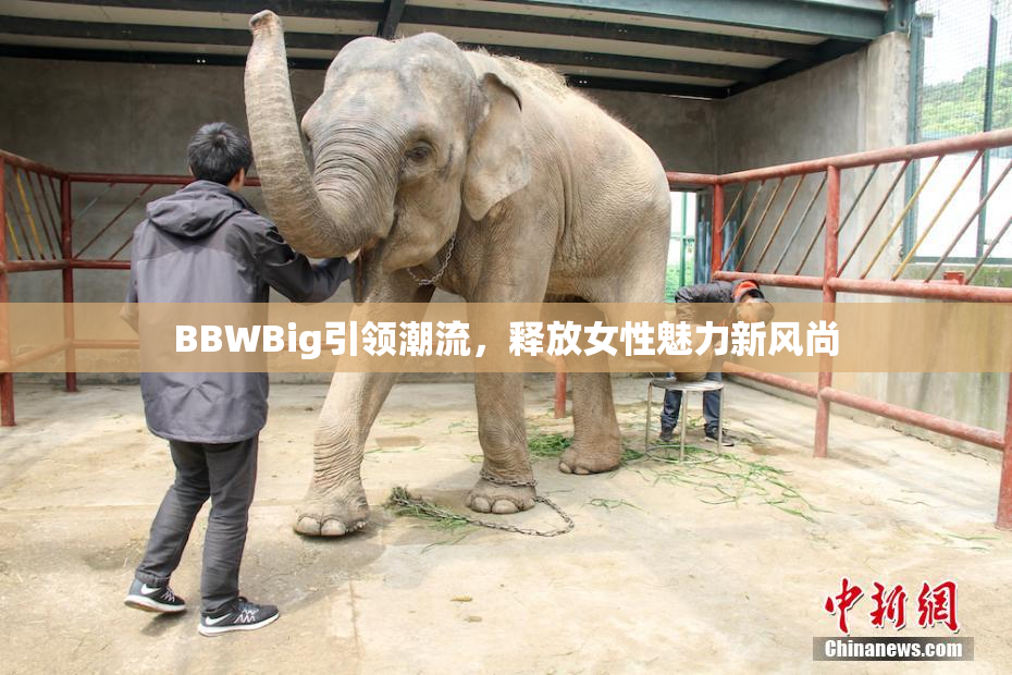 BBWBig引领潮流，释放女性魅力新风尚