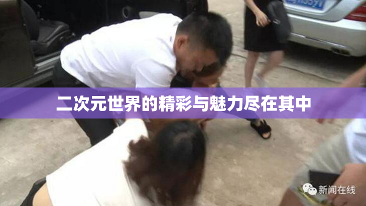 二次元世界的精彩与魅力尽在其中