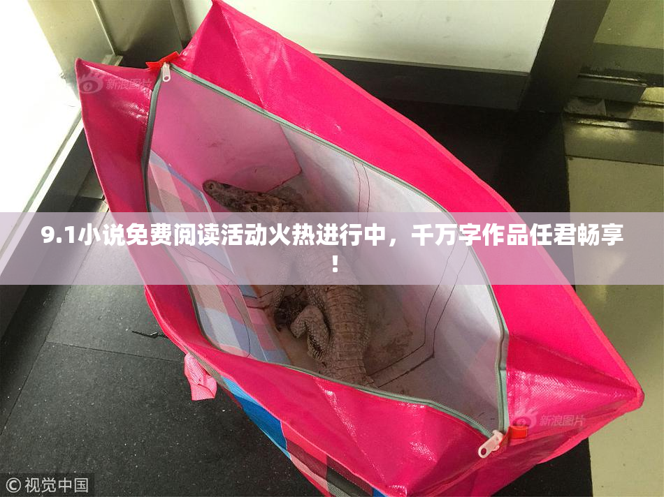 9.1小说免费阅读活动火热进行中，千万字作品任君畅享！