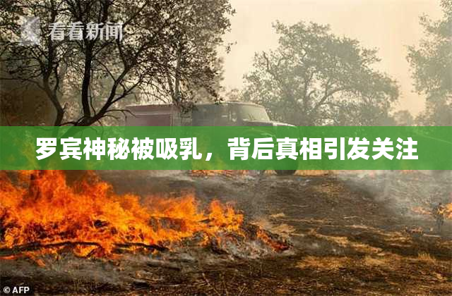 罗宾神秘被吸乳，背后真相引发关注