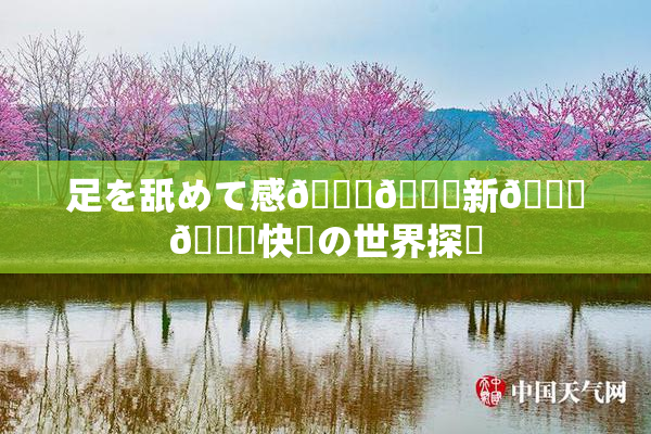 足を舐めて感🍓🌃新👅🍑快楽の世界探訪