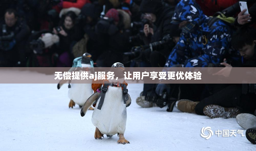 无偿提供aj服务，让用户享受更优体验