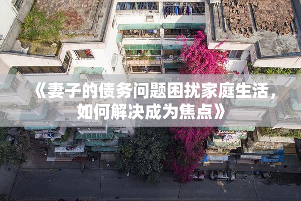 《妻子的债务问题困扰家庭生活，如何解决成为焦点》