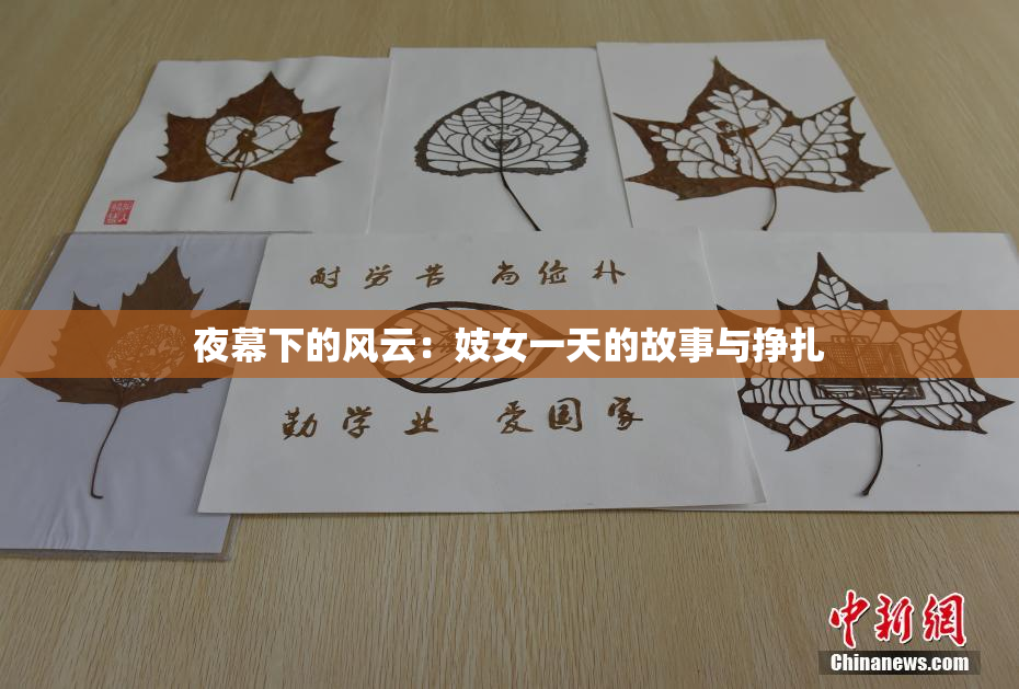 夜幕下的风云：妓女一天的故事与挣扎