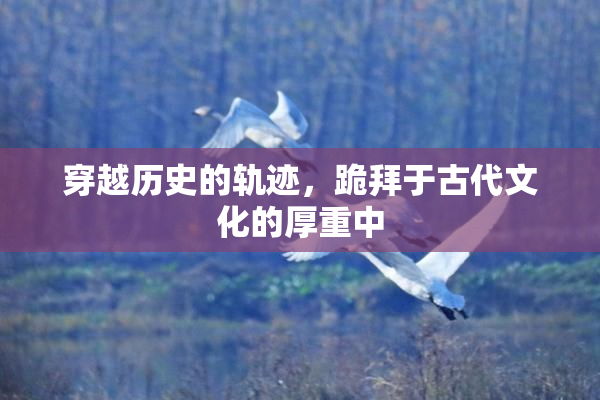 穿越历史的轨迹，跪拜于古代文化的厚重中