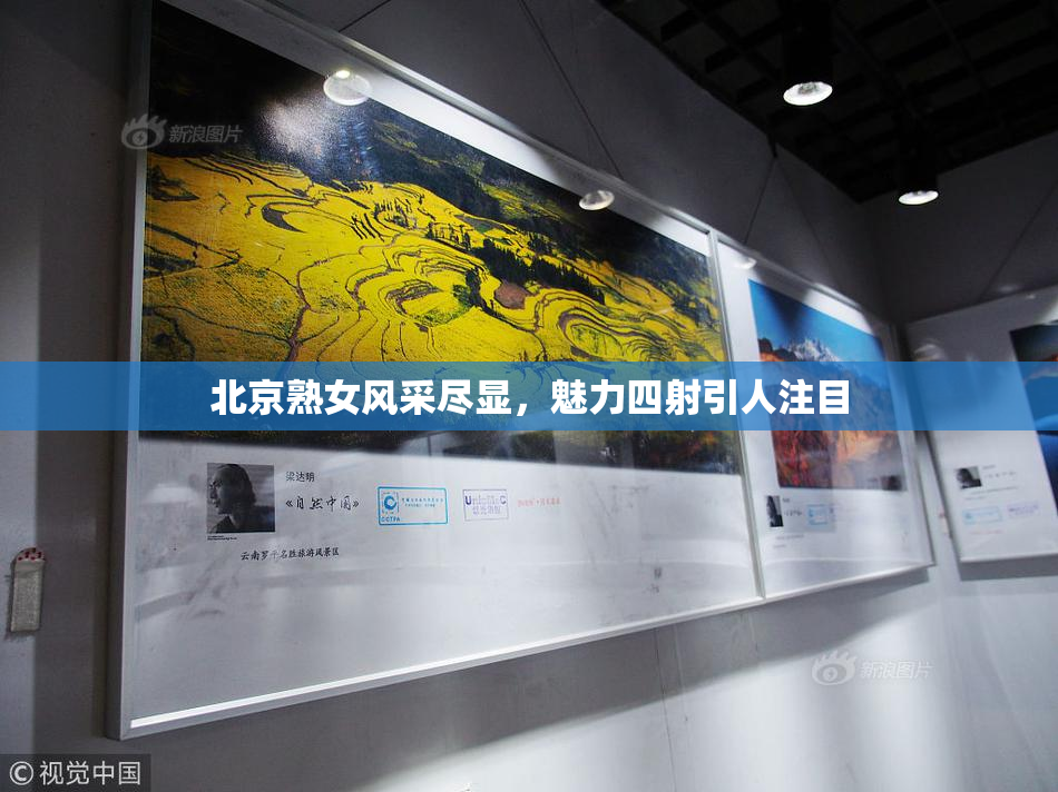 北京熟女风采尽显，魅力四射引人注目
