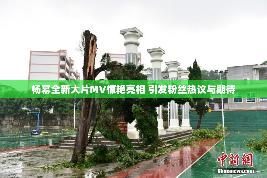 杨幂全新大片MV惊艳亮相 引发粉丝热议与期待