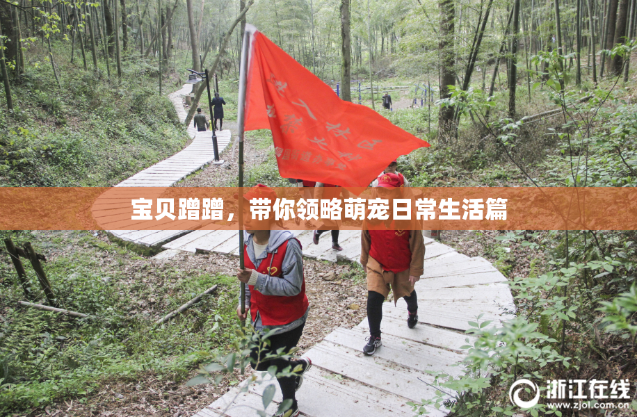 宝贝蹭蹭，带你领略萌宠日常生活篇