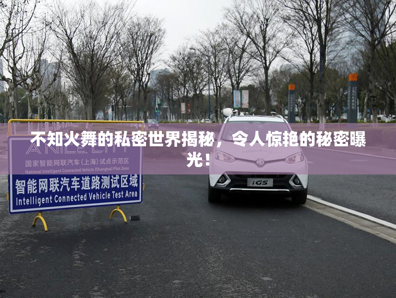 不知火舞的私密世界揭秘，令人惊艳的秘密曝光！