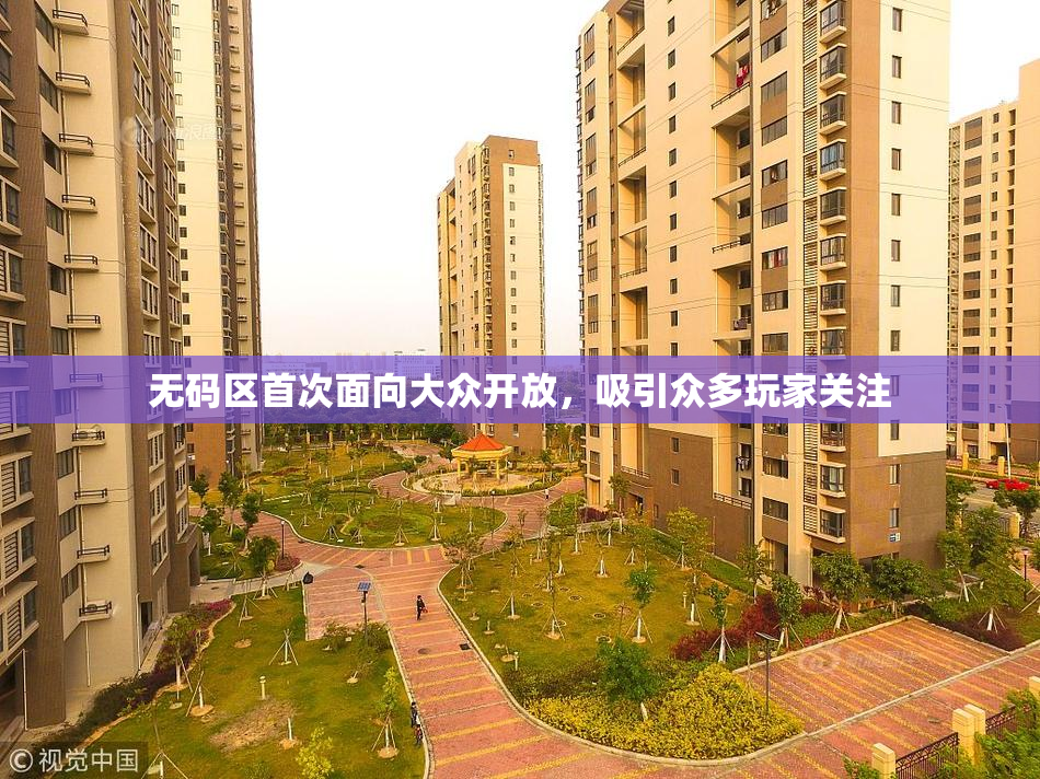 无码区首次面向大众开放，吸引众多玩家关注