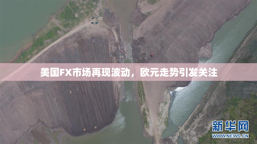 美国FX市场再现波动，欧元走势引发关注