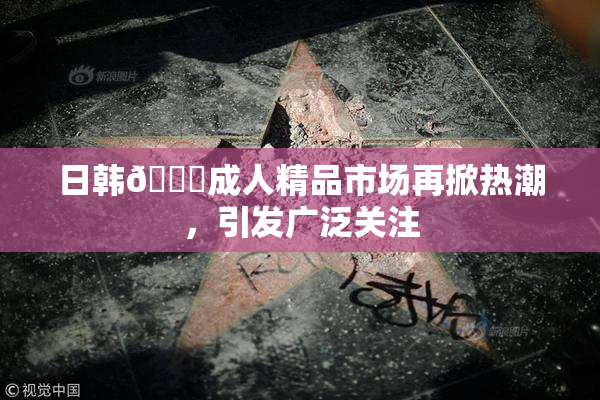 日韩🔞成人精品市场再掀热潮，引发广泛关注