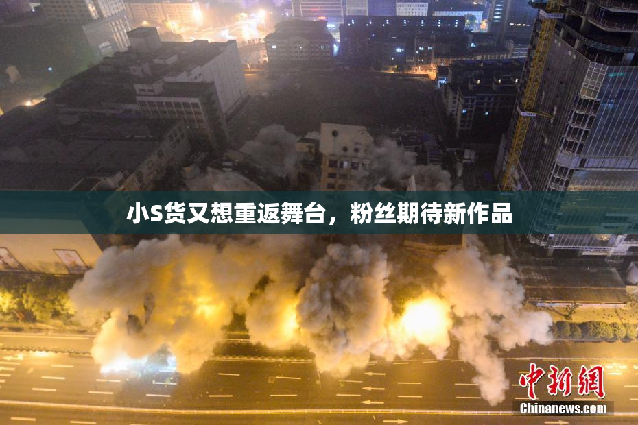 小S货又想重返舞台，粉丝期待新作品