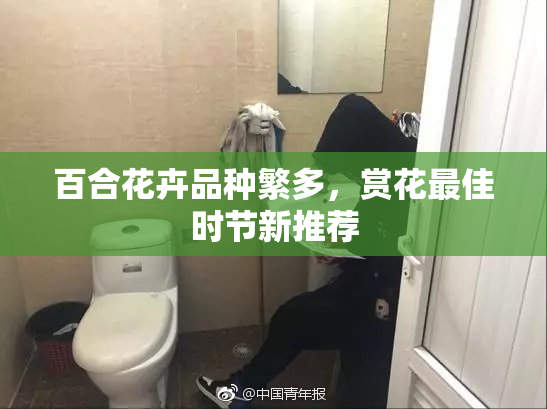 百合花卉品种繁多，赏花最佳时节新推荐