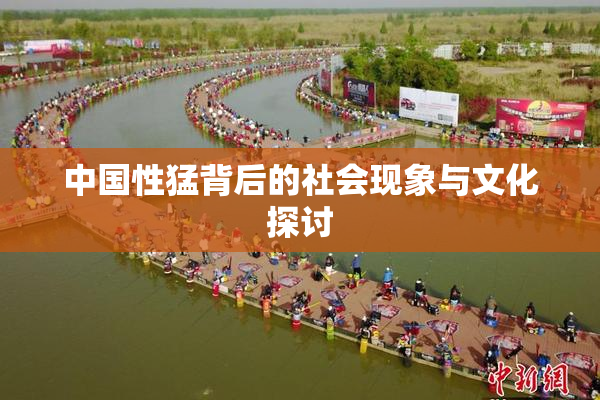 中国性猛背后的社会现象与文化探讨